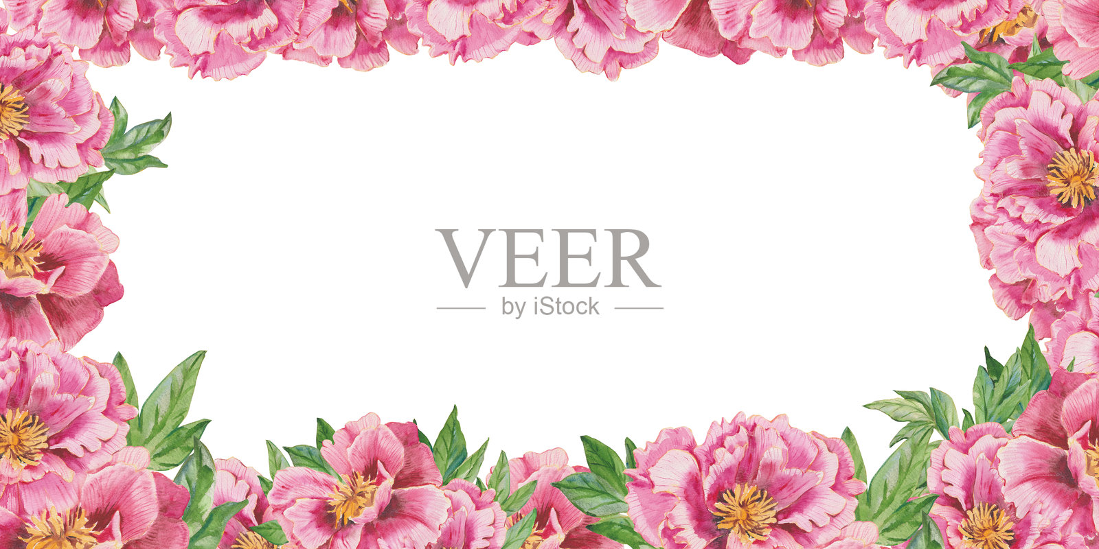 优雅的水彩粉色牡丹玫瑰矩形框，配以丰盛的绿色叶子。适用于婚礼邀请、品牌、化妆品、婚礼卡片和花卉设计项目的花卉模板，留有空白空间。插画图片素材