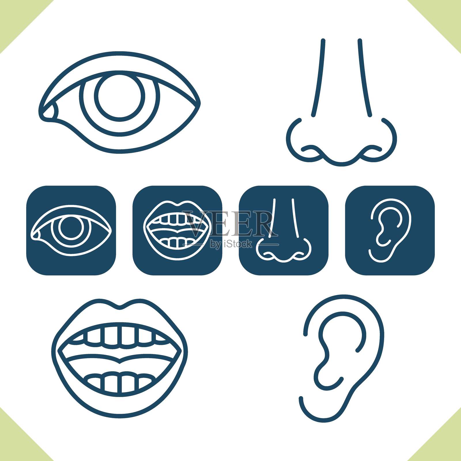 身体部位图标插画图片素材