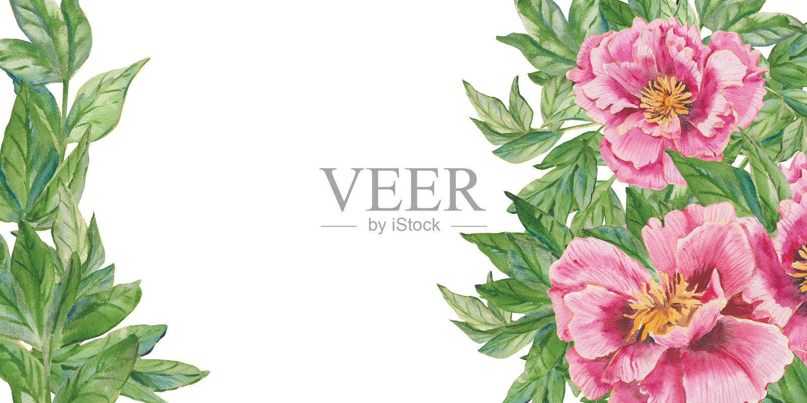 优雅的水彩粉色牡丹玫瑰矩形框架，配以丰盛的绿色叶子。适用于婚礼邀请、品牌、化妆品、婚礼卡片和花卉设计项目的花卉模板，留有空白空间。插画图片素材