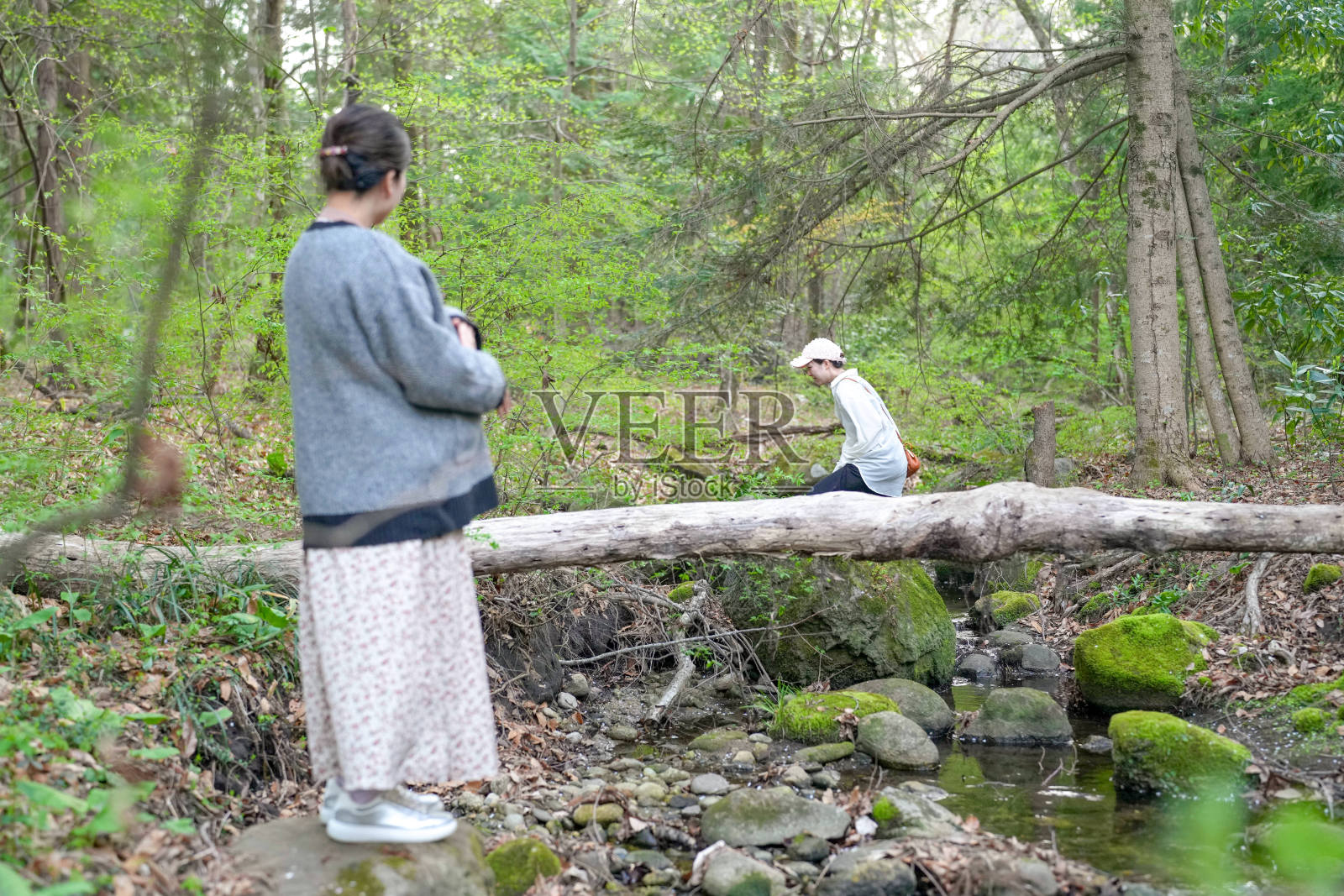 一位女性坐在森林中的一根原木上照片摄影图片