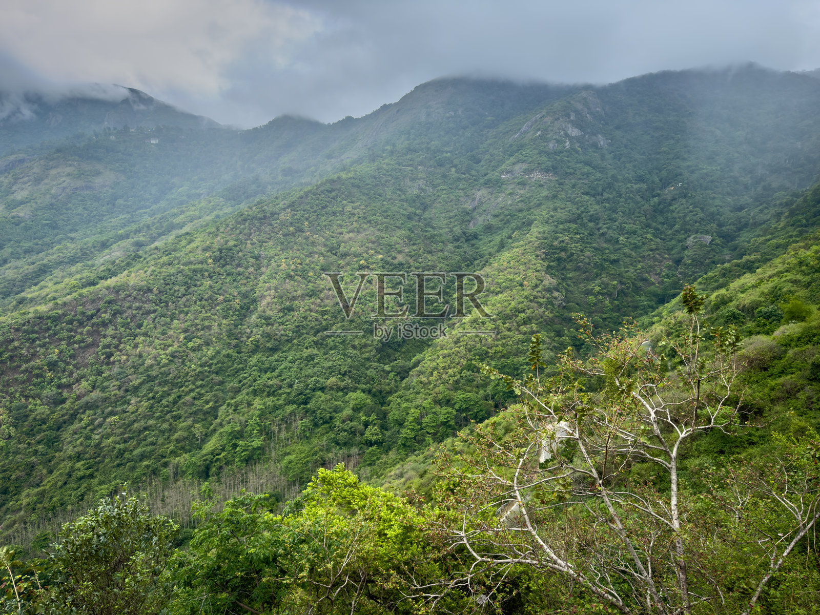 从博迪梅图观景点俯瞰的风景，位于泰米尔纳德邦博迪纳亚卡努尔-穆纳尔公路上照片摄影图片