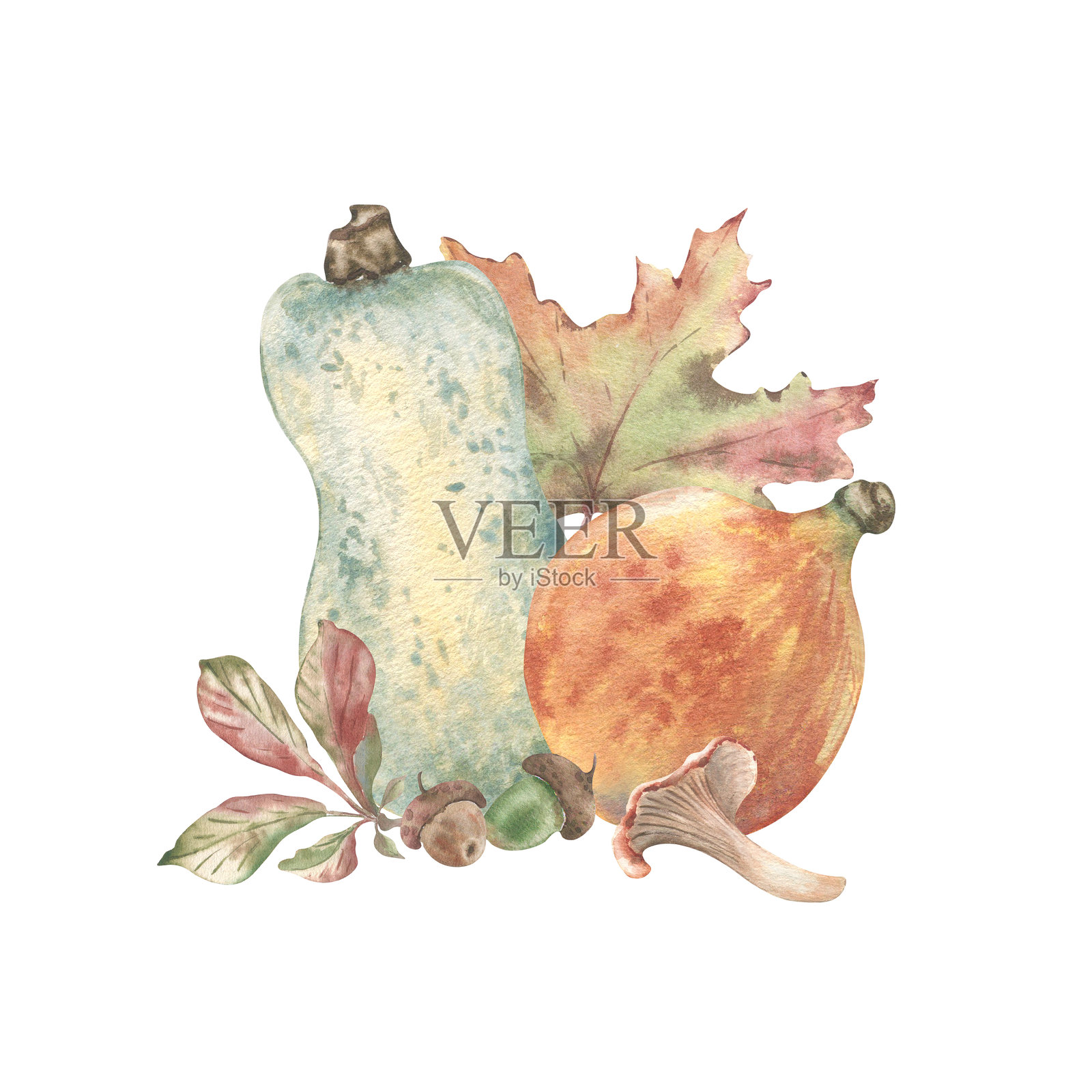 柔和的粉彩秋季植物素描，采用柔和色调手绘而成插画图片素材