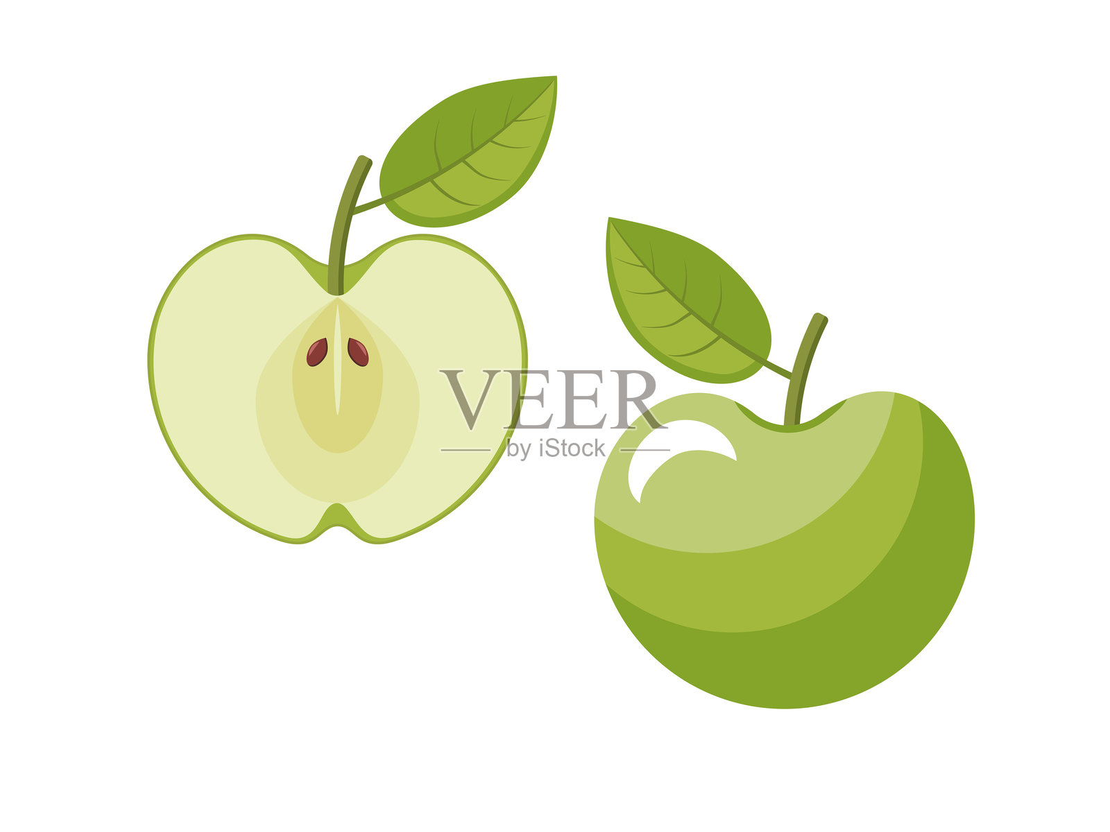 新鲜的绿色苹果，切开的绿色苹果。插画图片素材