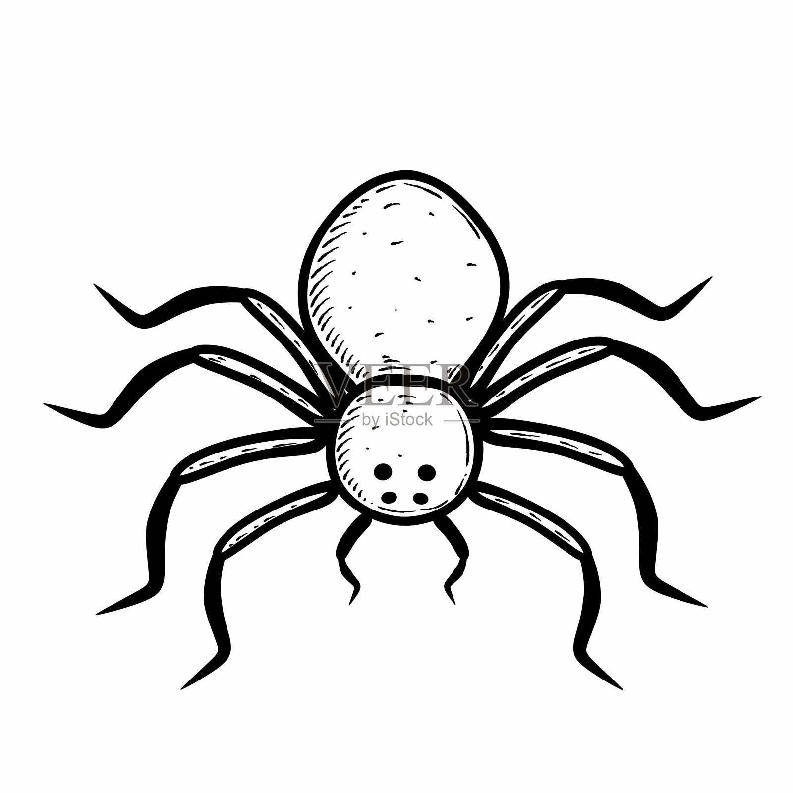 蜘蛛的插图插画图片素材