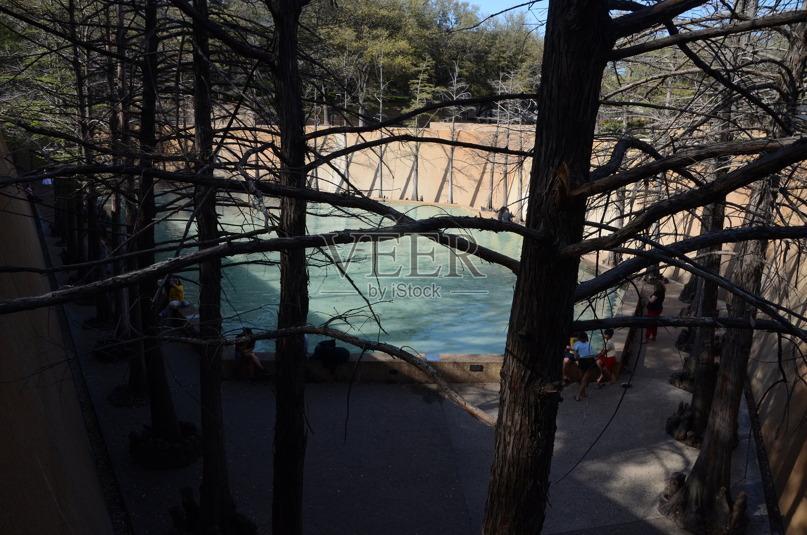 沃斯堡水景花园照片摄影图片