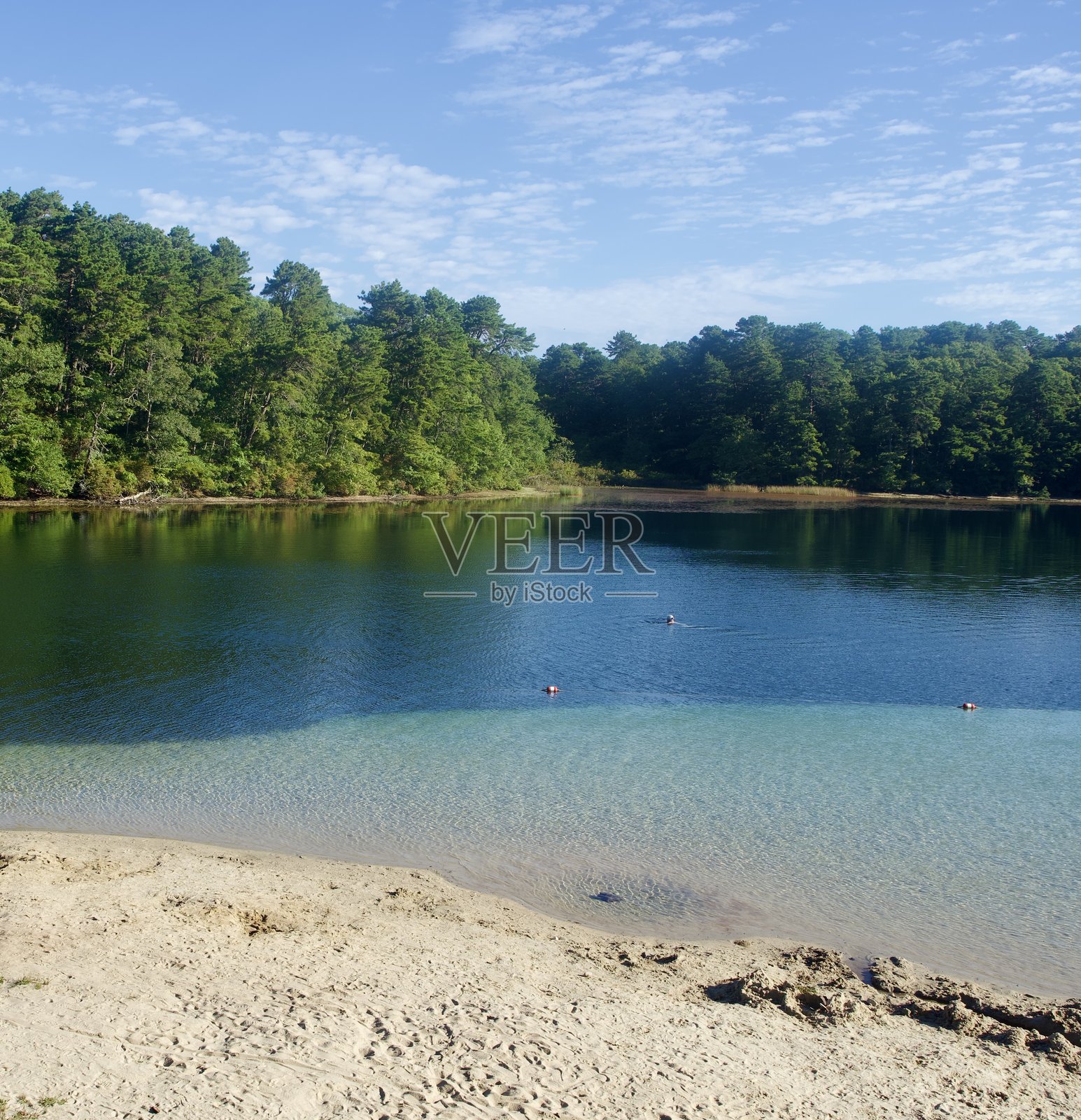 凯普科德水塘的清晨照片摄影图片