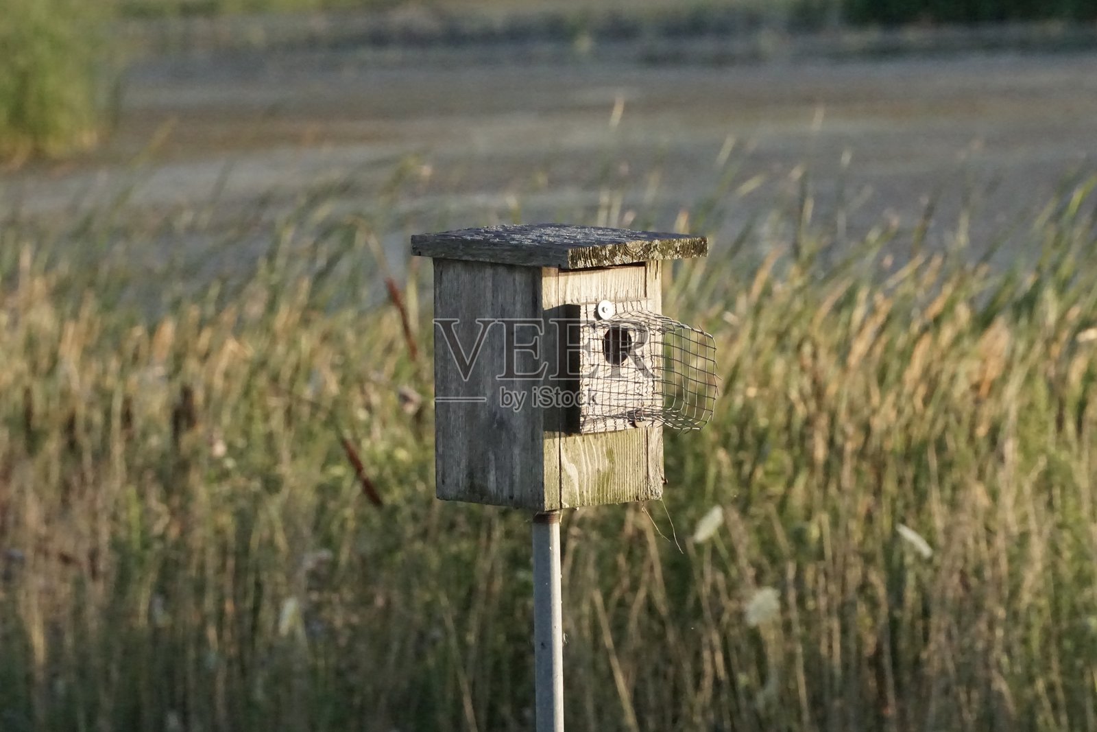 鸟箱照片摄影图片