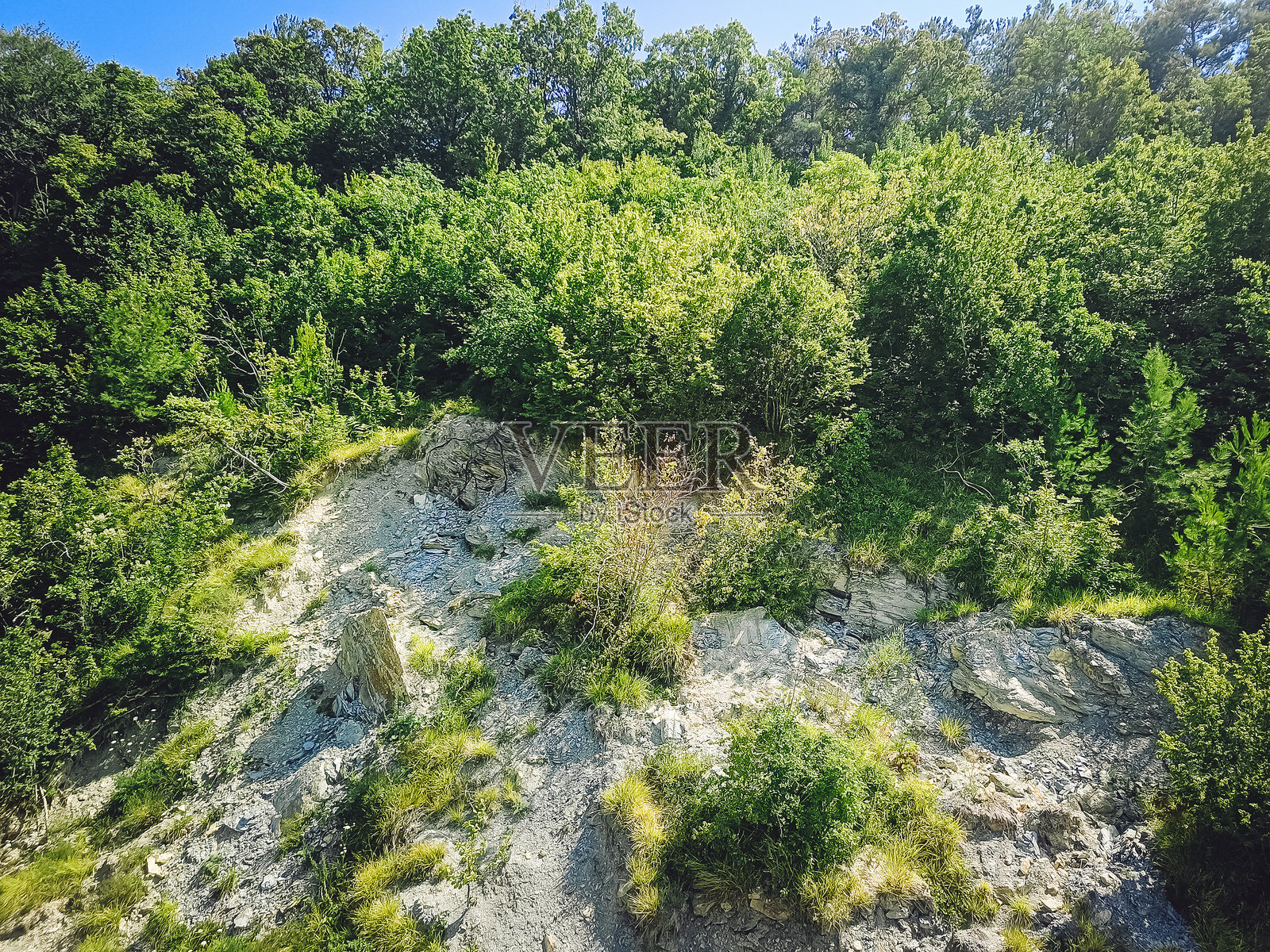 山坡上长满树木。自然地质特征。照片摄影图片