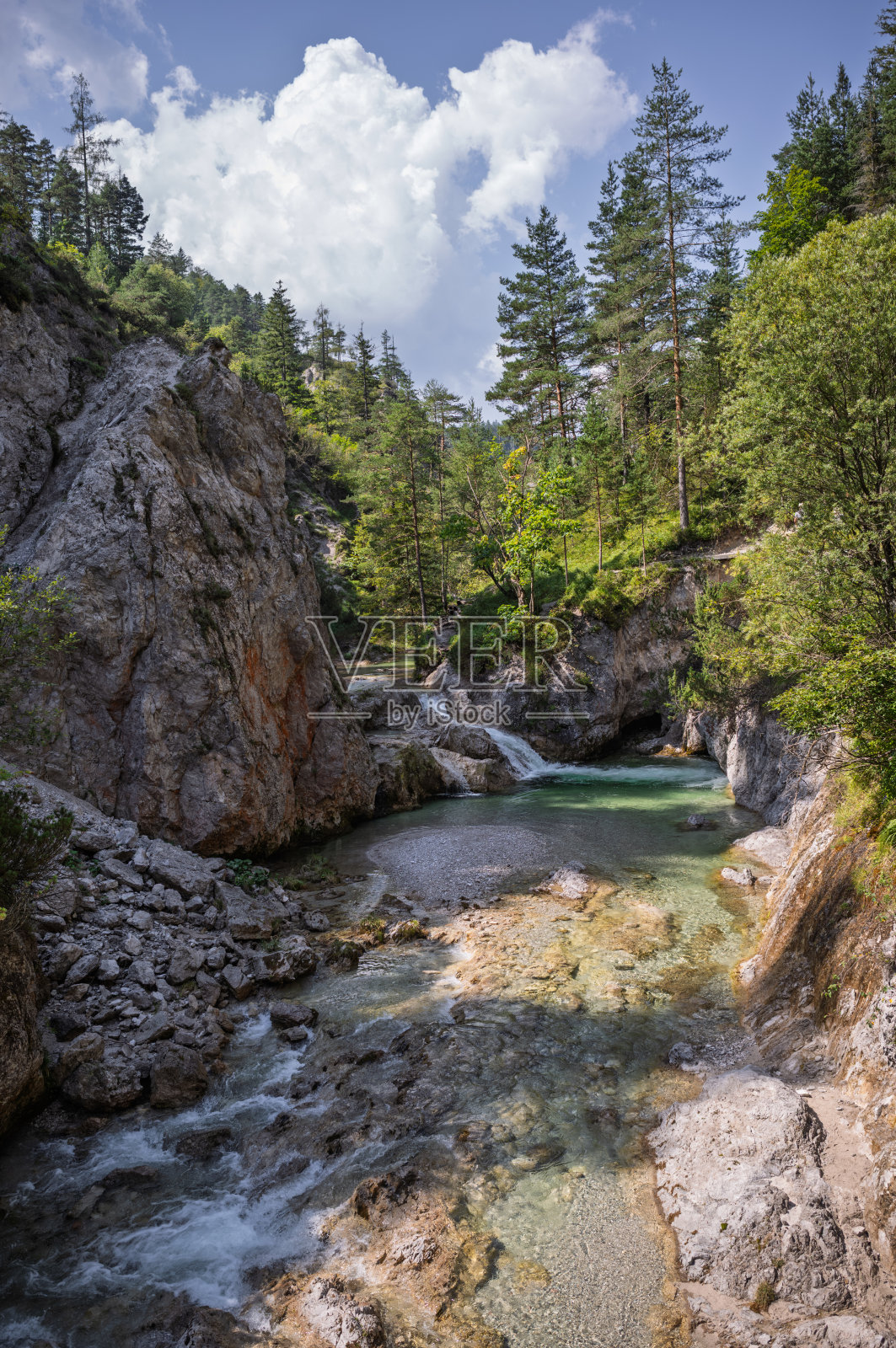 清澈的水、树木和岩石照片摄影图片