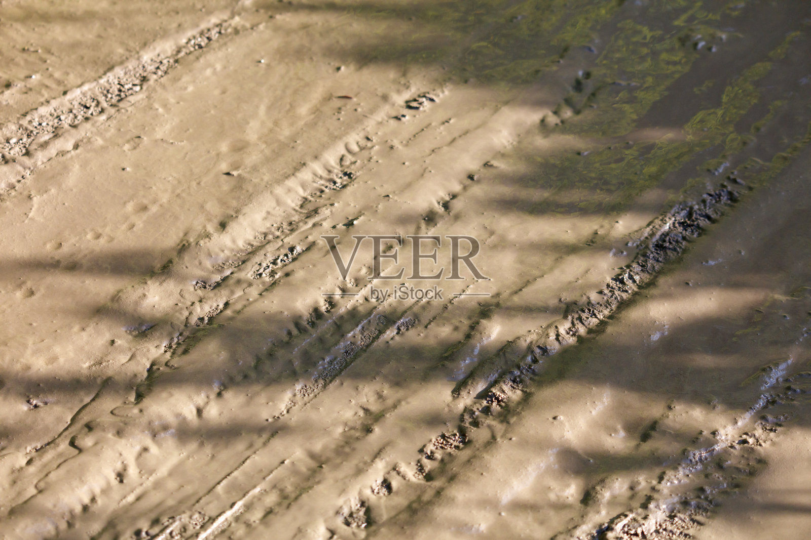 一条有轮胎痕迹的泥泞道路照片摄影图片