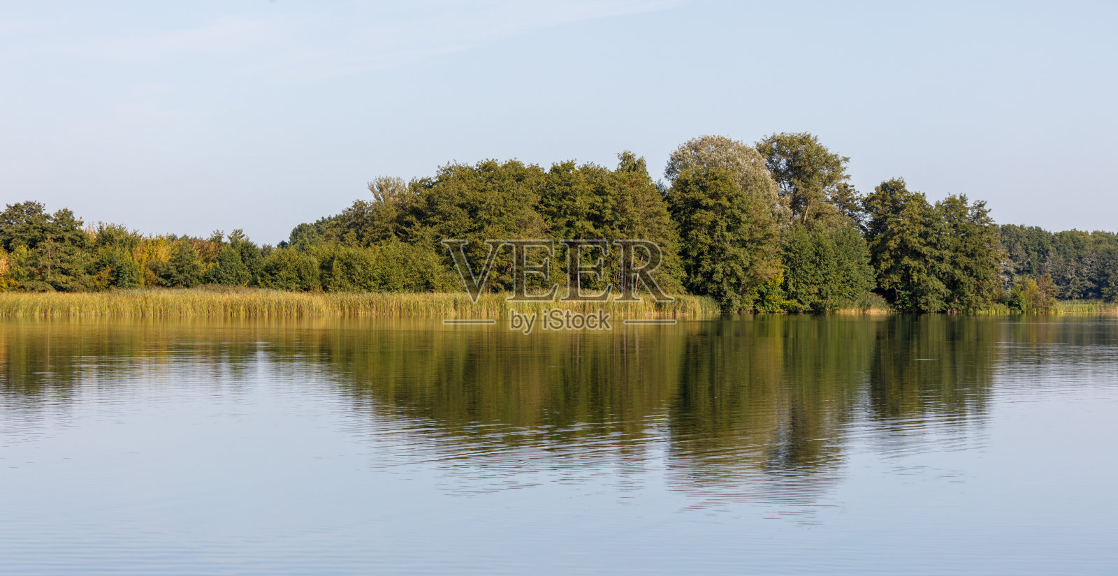 一片水域，背景有树木照片摄影图片