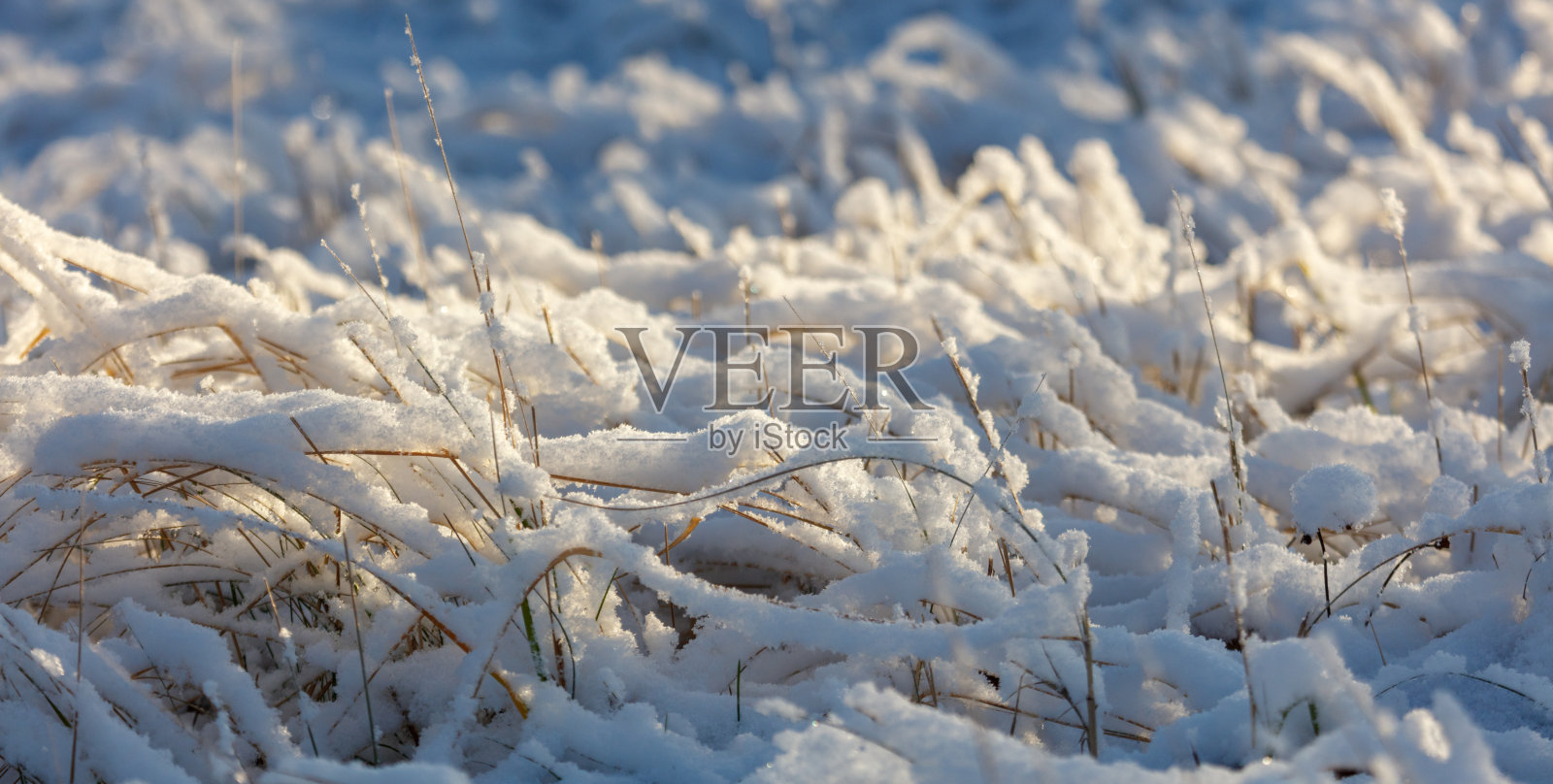 一片覆盖着雪和草的田野照片摄影图片
