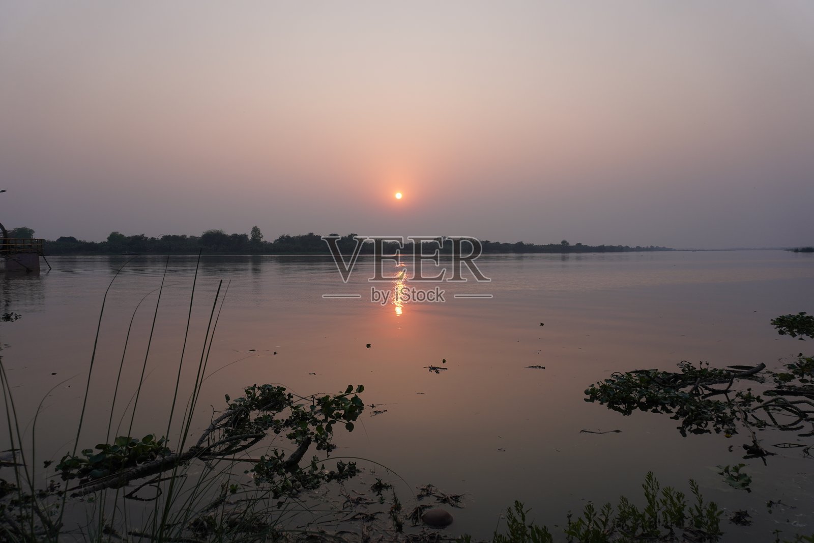 河流上的日落，夕阳映照在水面上，前景有一些水生植物。照片摄影图片