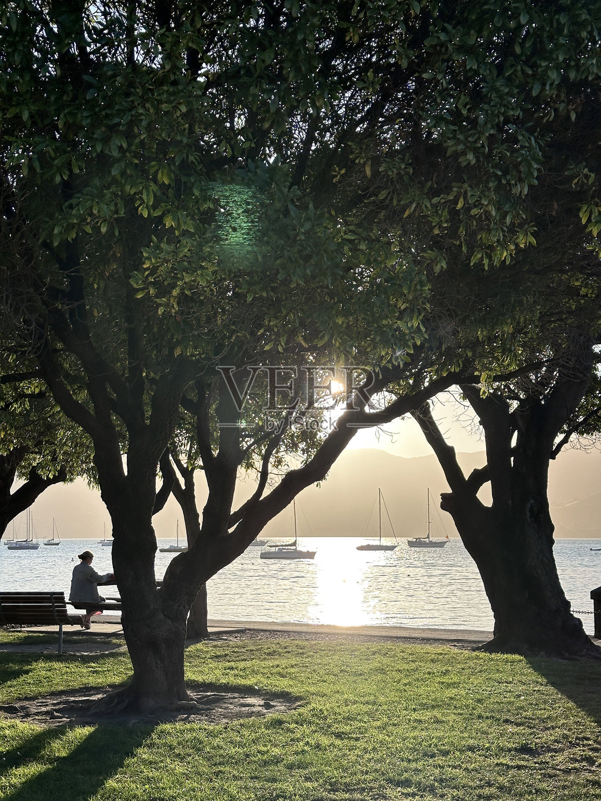 宁静的湖边景色，夕阳下的帆船和郁郁葱葱的树木照片摄影图片