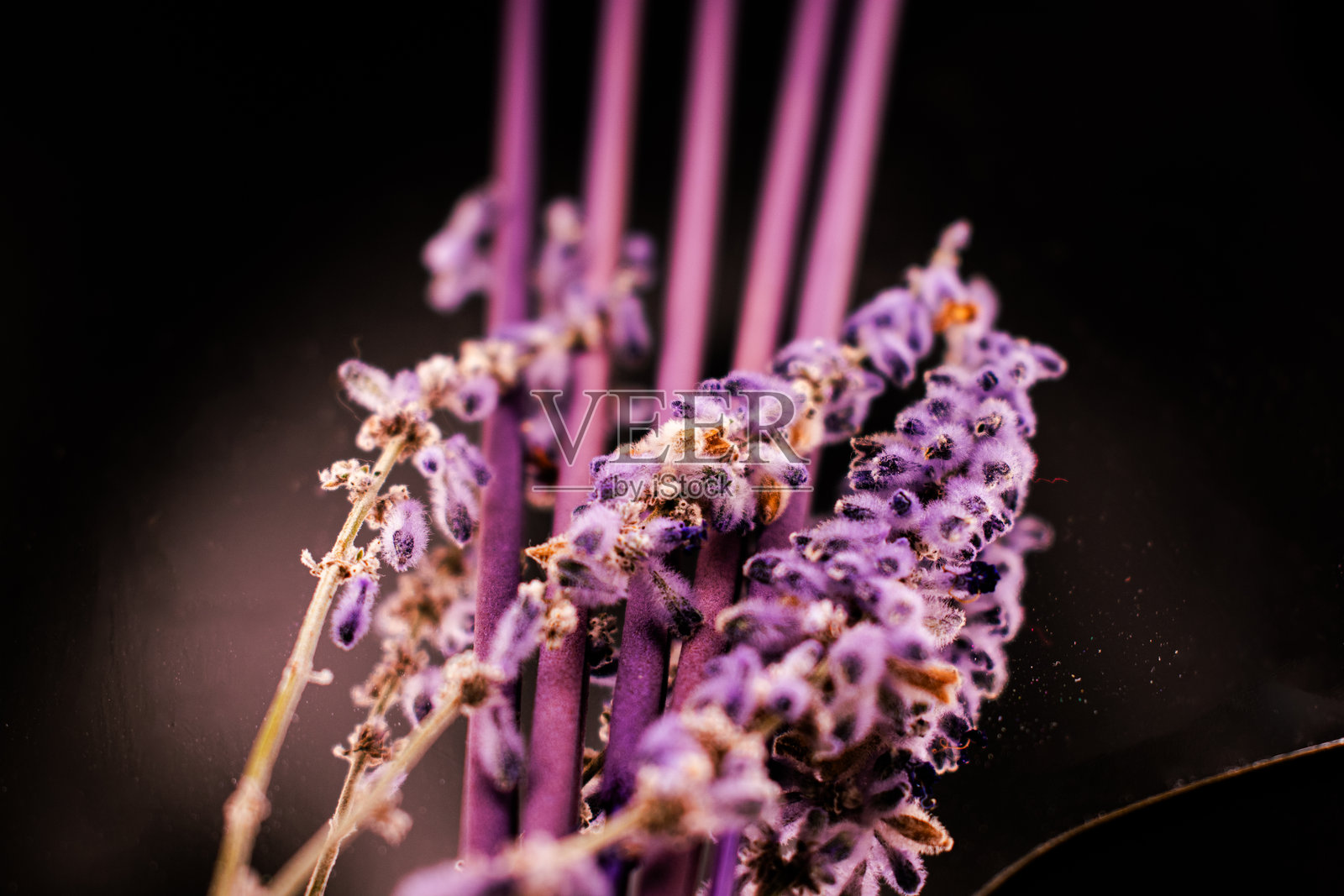 香薰和薰衣草，空间净化照片摄影图片
