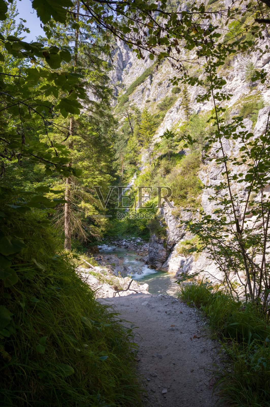 隐秘的河流小径照片摄影图片