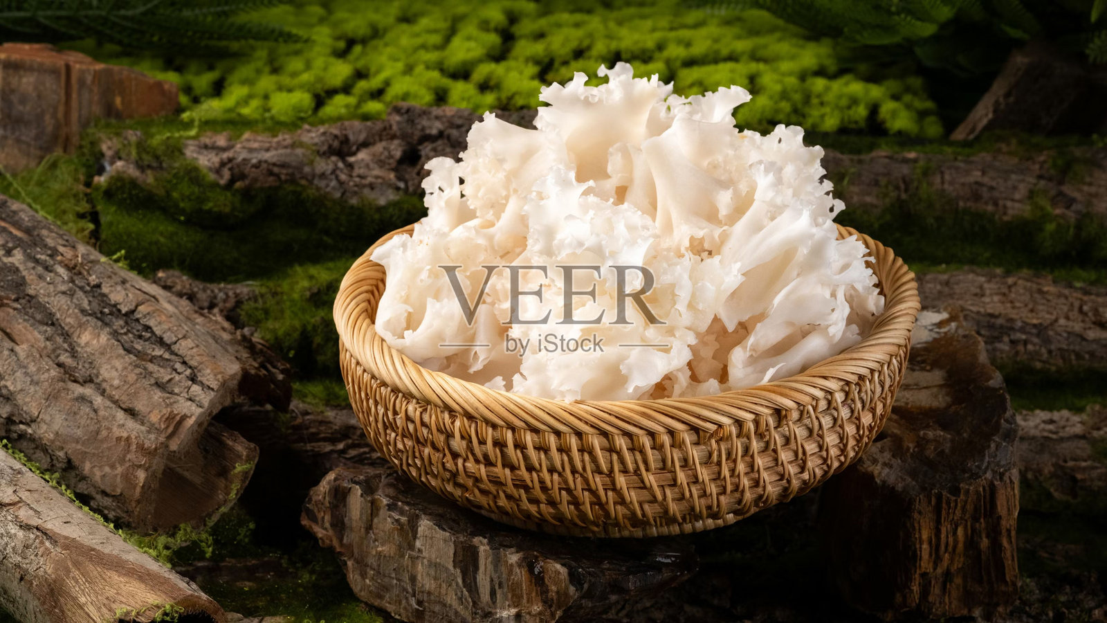 白色的银耳放在碗中，背景是森林草地和倒下的树木。照片摄影图片