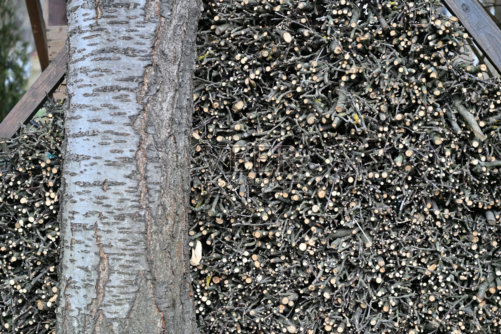 用铁架晾干木材以备冬季取暖照片摄影图片