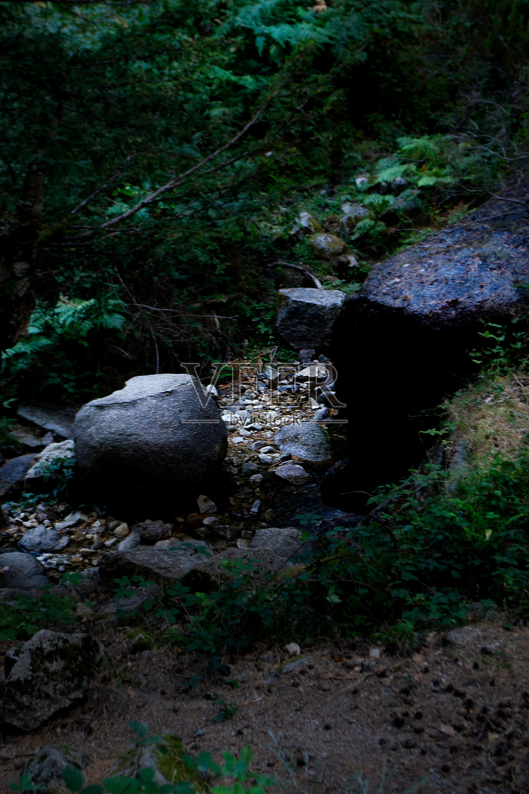 自然公园照片摄影图片