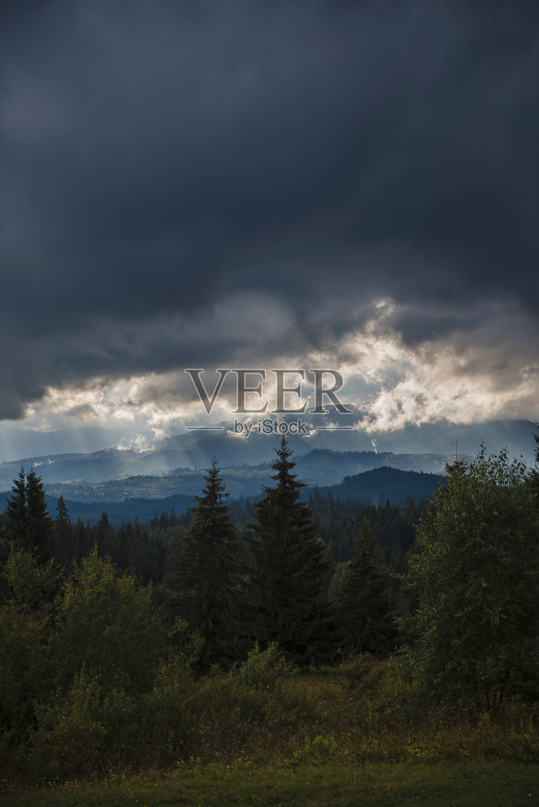 森林山脉上空的戏剧性云彩照片摄影图片