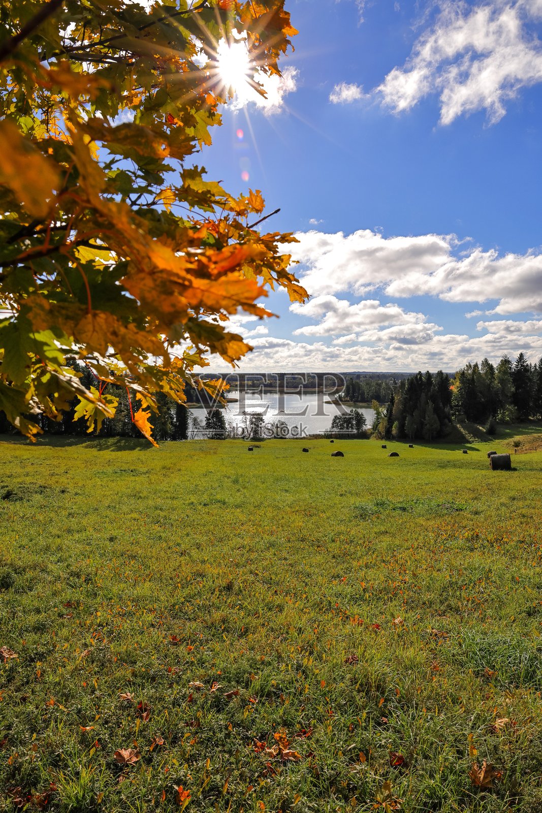 从山丘俯瞰拉脱维亚湖泊，天空中飘着大云。照片摄影图片