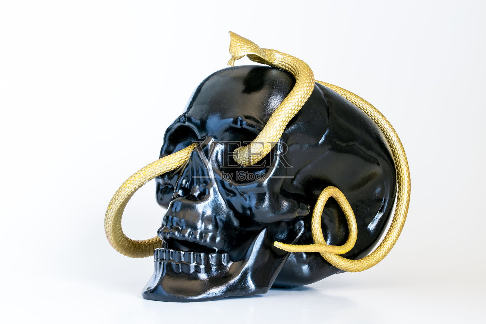 精致的黑色骷髅与蜿蜒的金色眼镜蛇照片摄影图片
