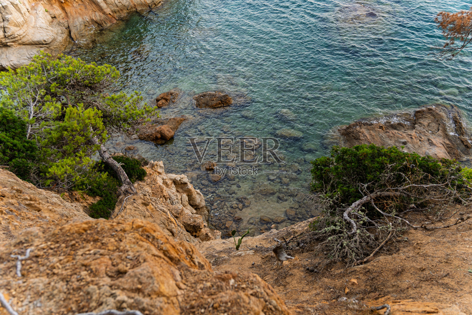 美丽的费纳尔斯岩石海岸，位于洛雷特德马尔，拥有碧蓝的海水、崎岖的悬崖和郁郁葱葱的地中海松树。照片摄影图片