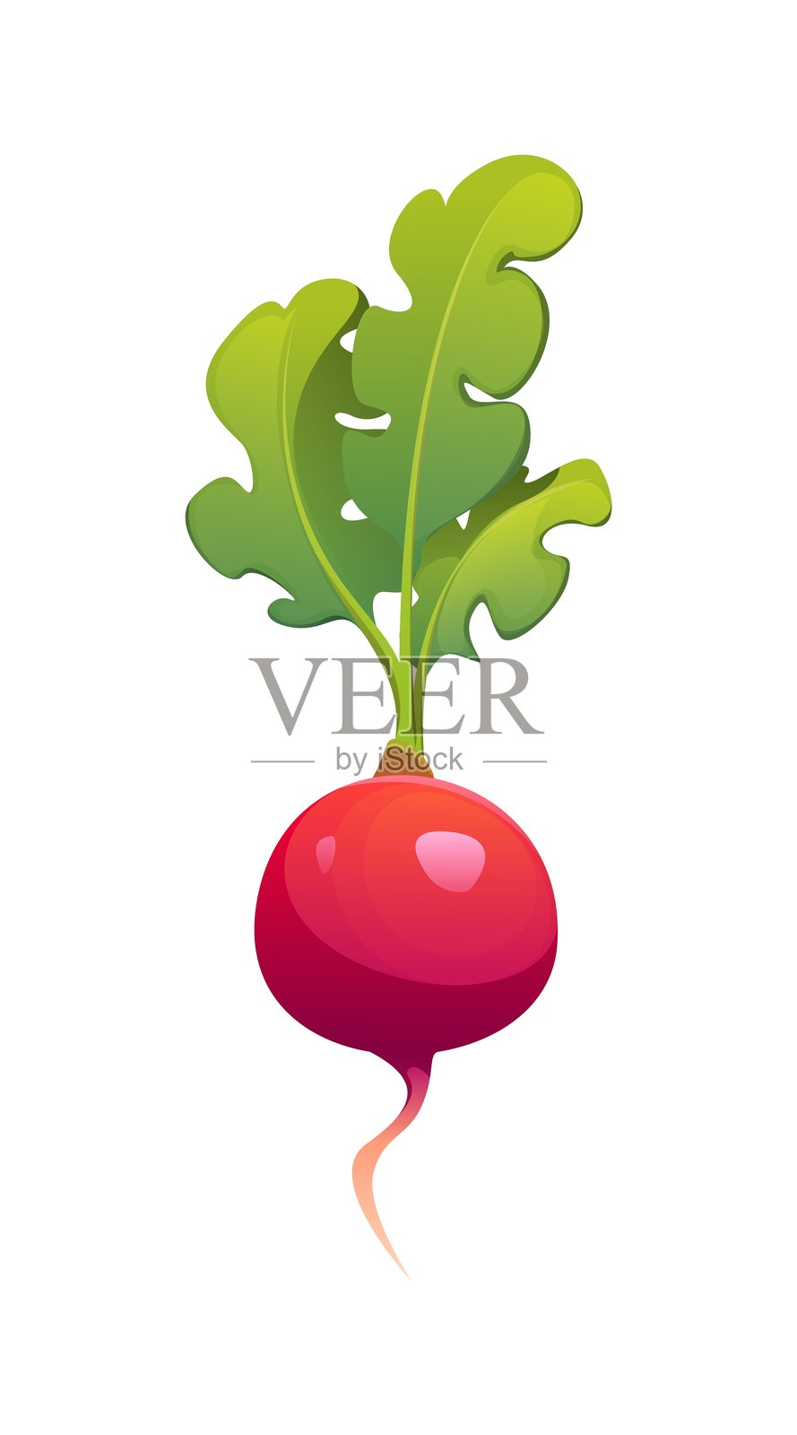 卡通生鲜的红萝卜，带有闪亮的红色根 bulb插画图片素材