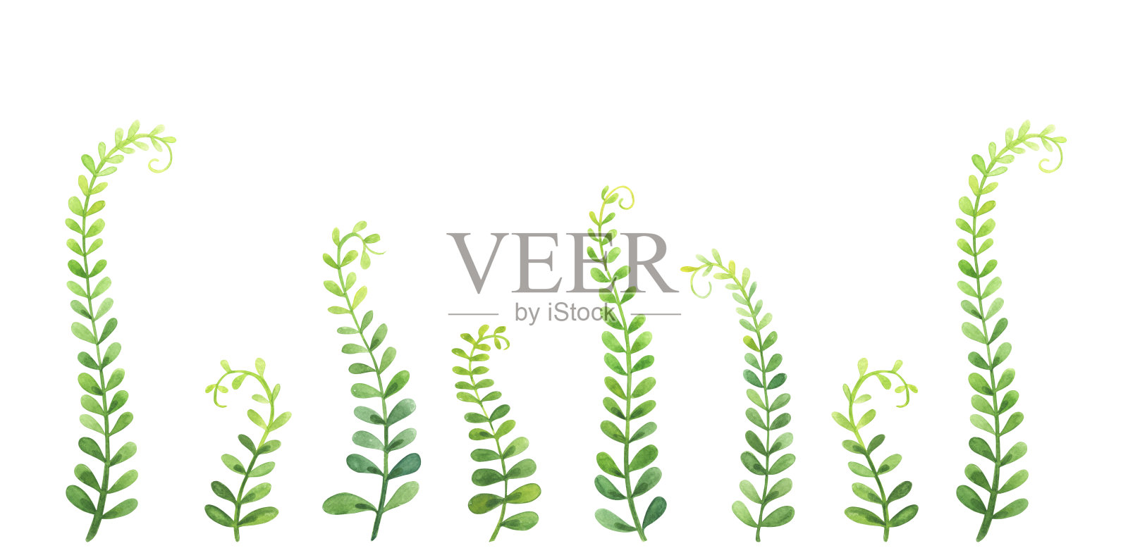 水彩绿色芽苗插图，手绘植物叶子插画图片素材