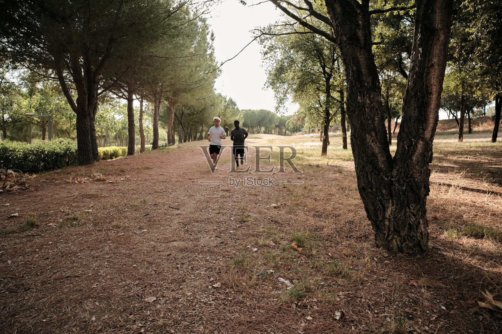 两个年轻人在树木环绕的公园里奔跑照片摄影图片