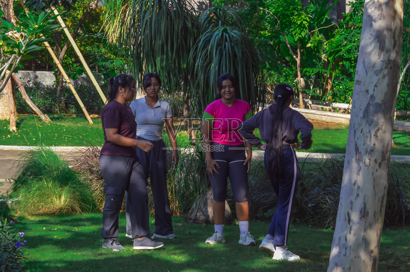 四个青少年女孩在公园的高大树木下寻找阴凉处照片摄影图片