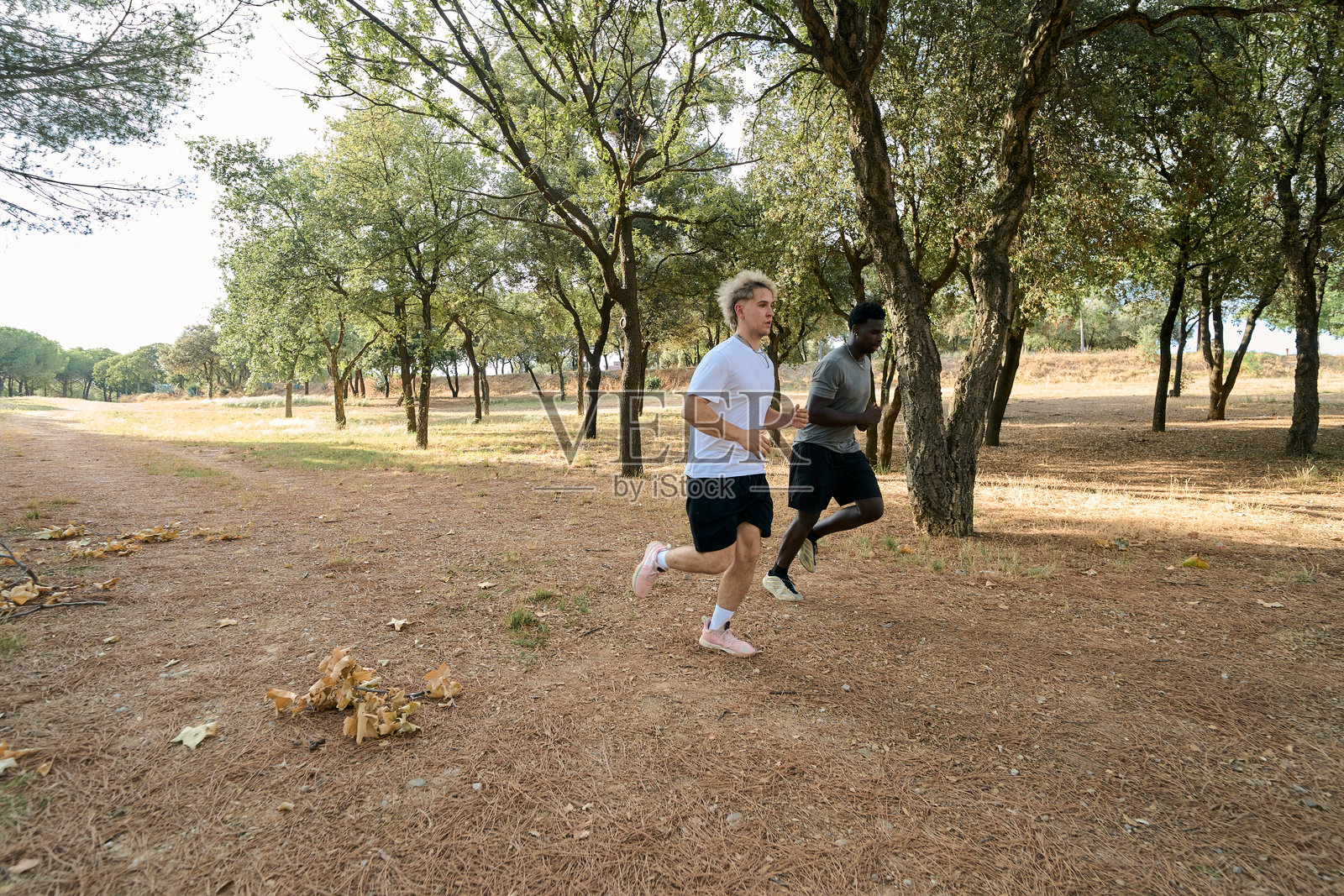 两名年轻男子在公园里跑步，保持健康的生活方式照片摄影图片