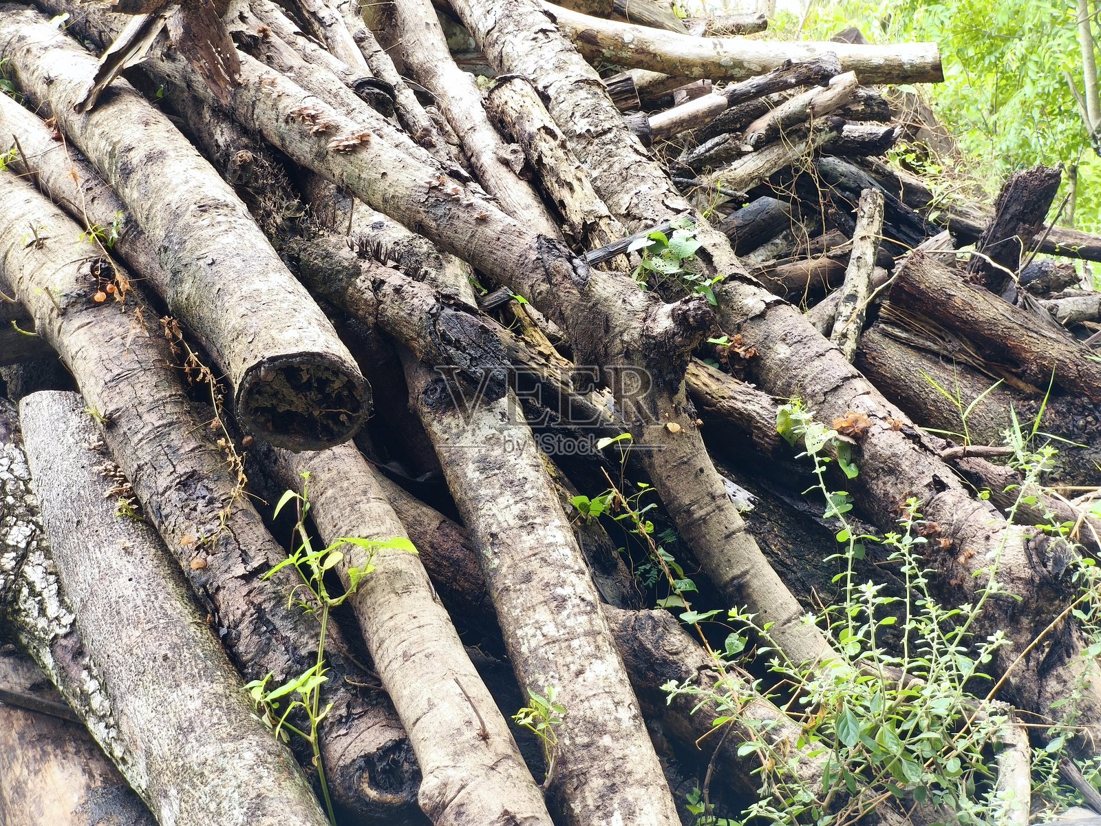 砖用木柴堆照片摄影图片
