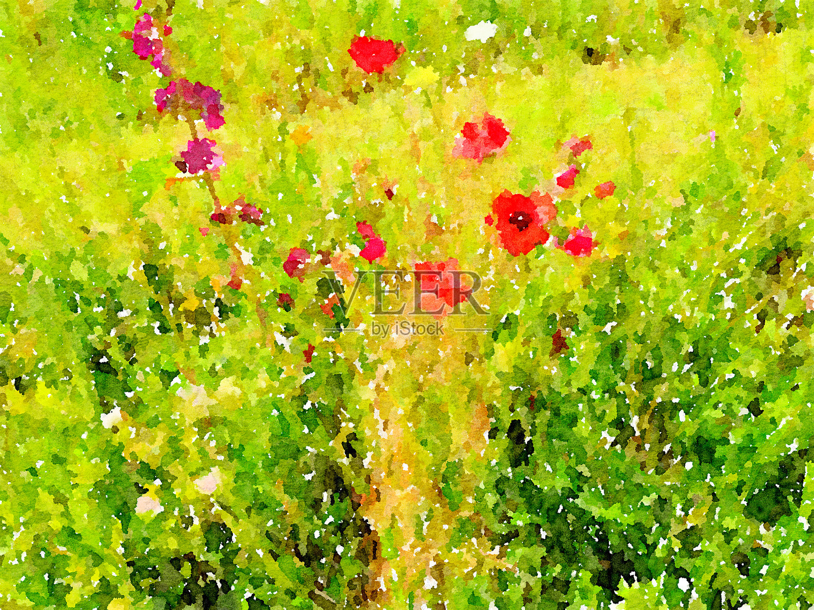 水彩画的树篱照片摄影图片