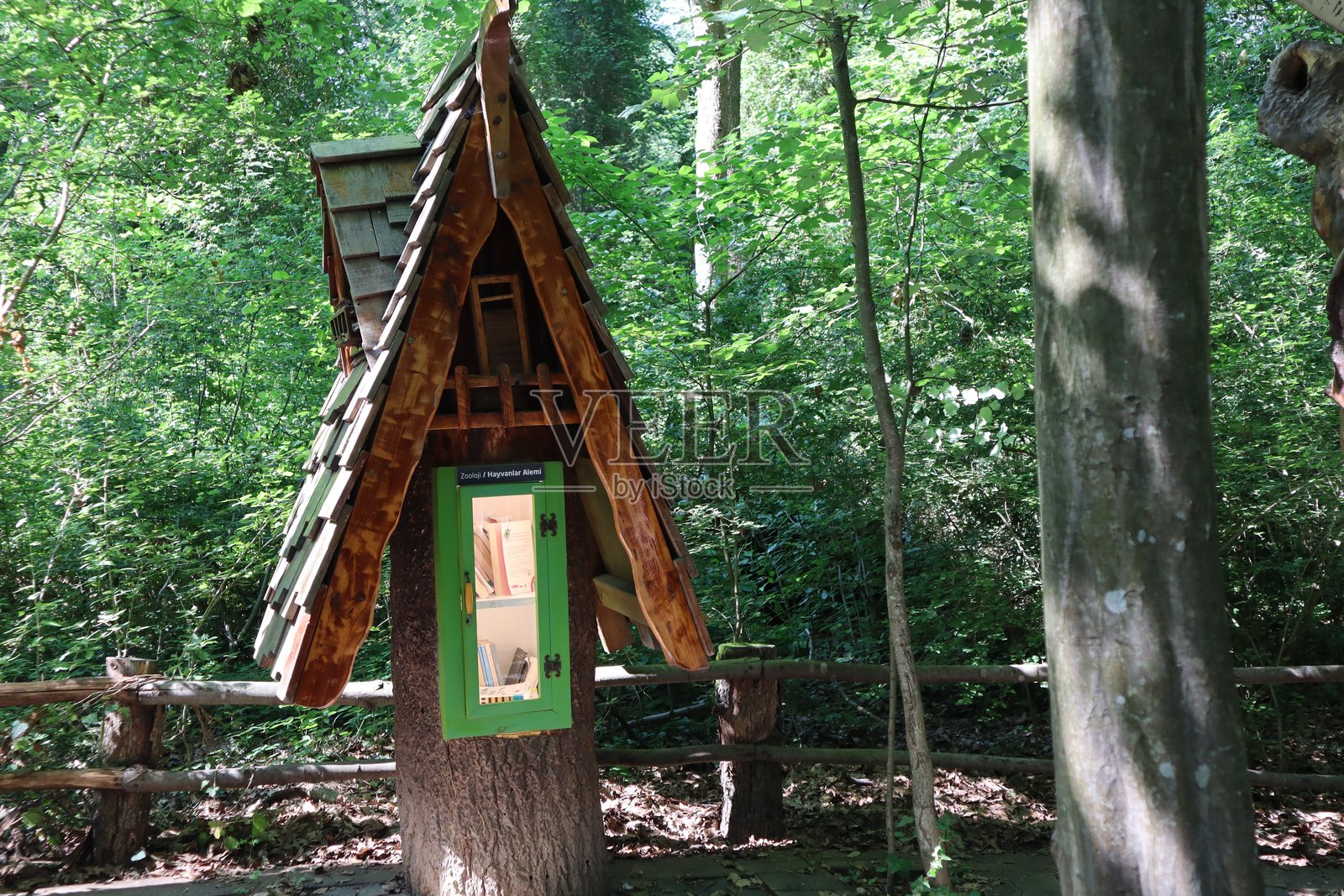 Ormanya自然公园的森林图书馆照片摄影图片