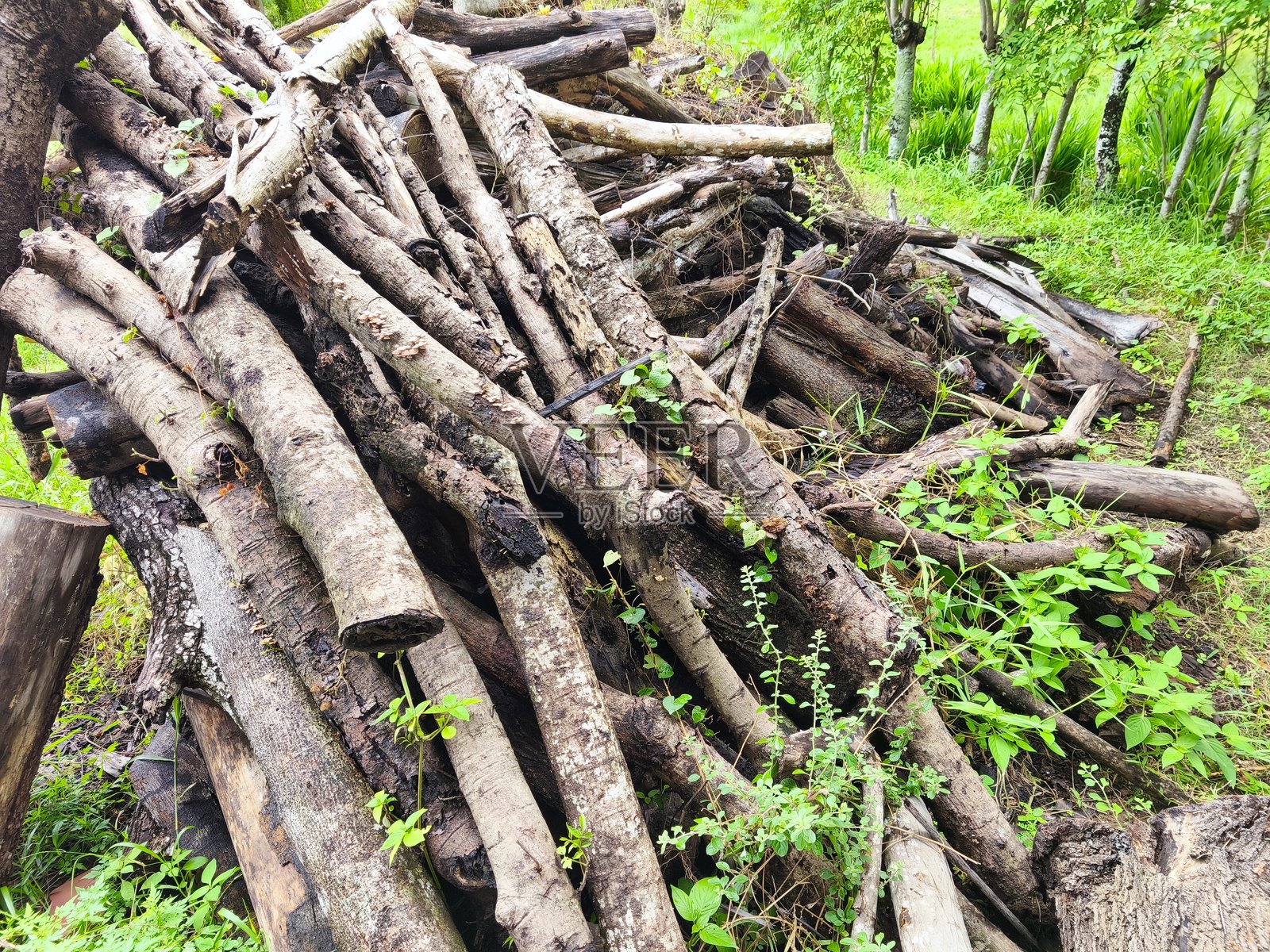 砖用木柴堆照片摄影图片