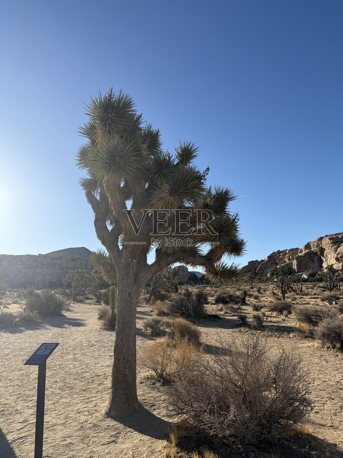 美国的全景图照片摄影图片