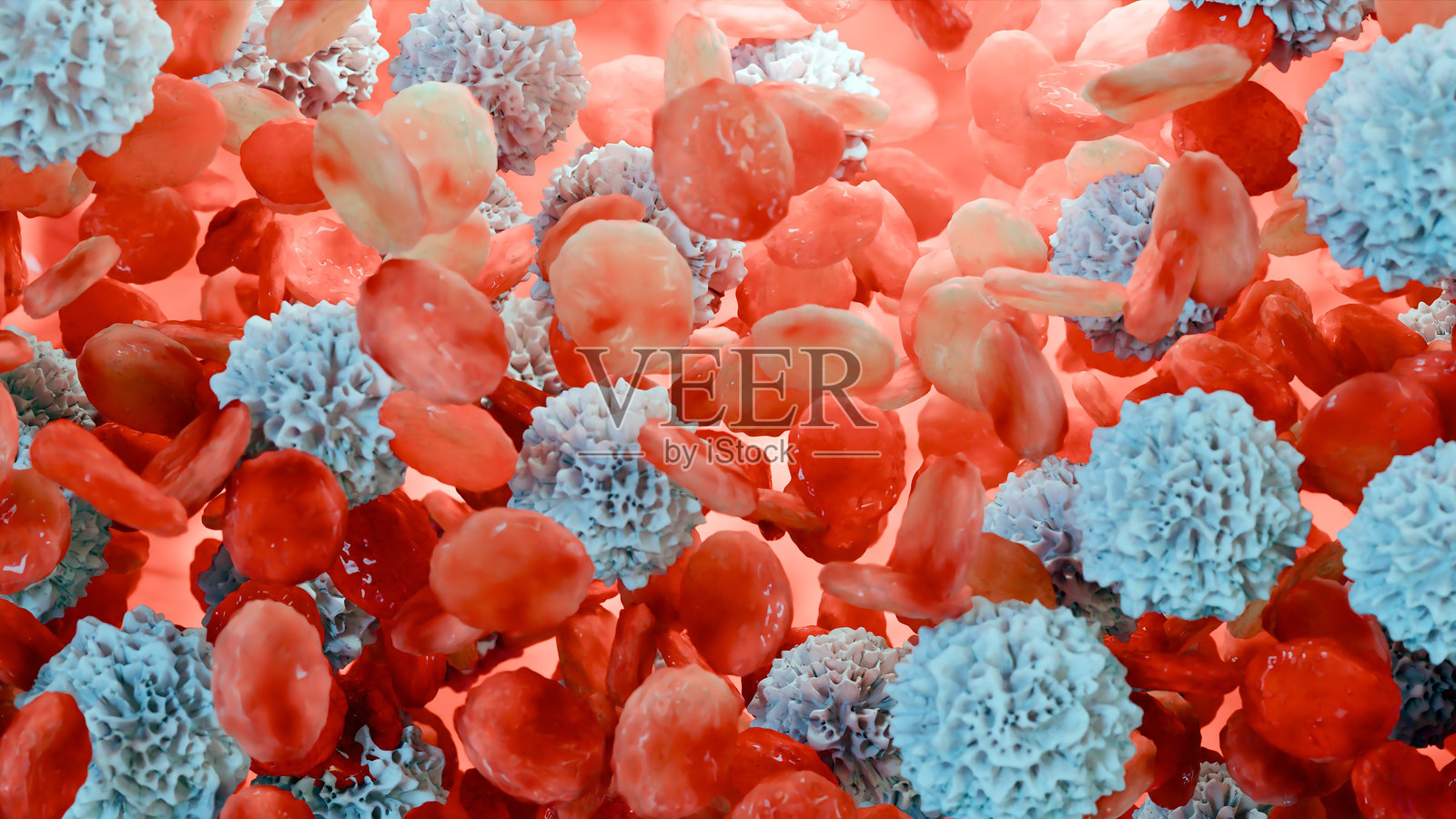 流动的红血球在静脉中，红细胞在动脉内流动，解剖医学，3D渲染照片摄影图片