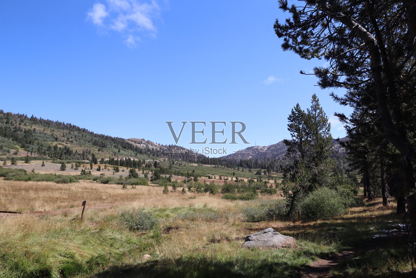 塔霍草甸照片摄影图片