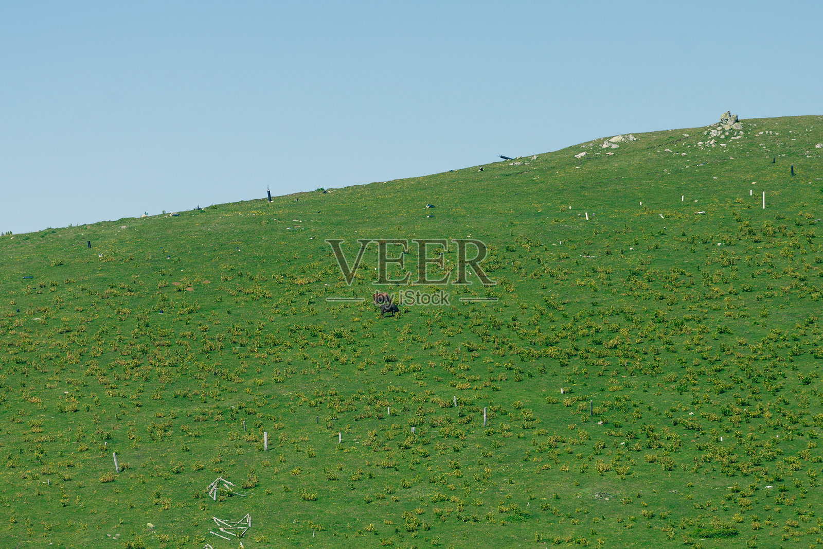 喬治亞州山中的一個霧氣弥漫的村莊照片摄影图片