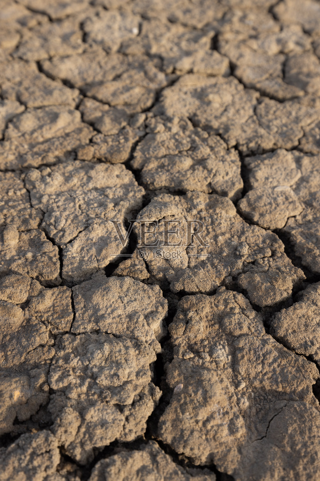 干裂的地面，干旱的荒地上布满裂纹的棕色泥土表面。特写全景，深度聚焦。照片摄影图片