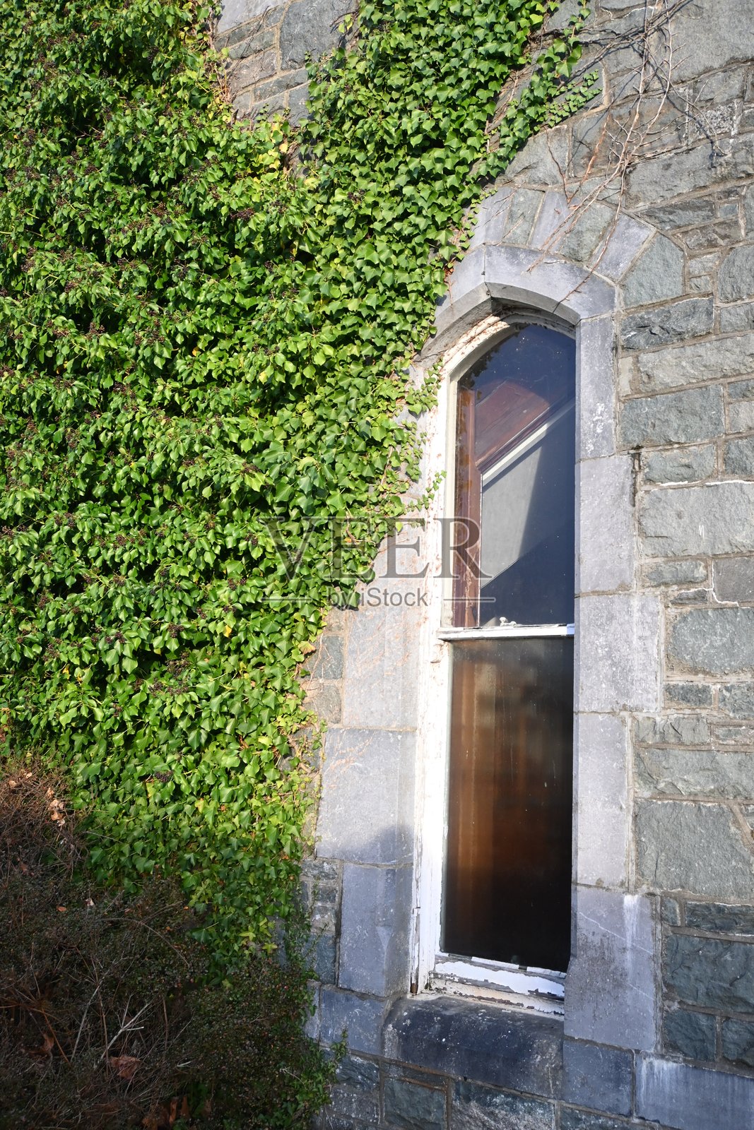 被常春藤覆盖的石墙装饰着迷人的窗户，是真正的建筑美。照片摄影图片