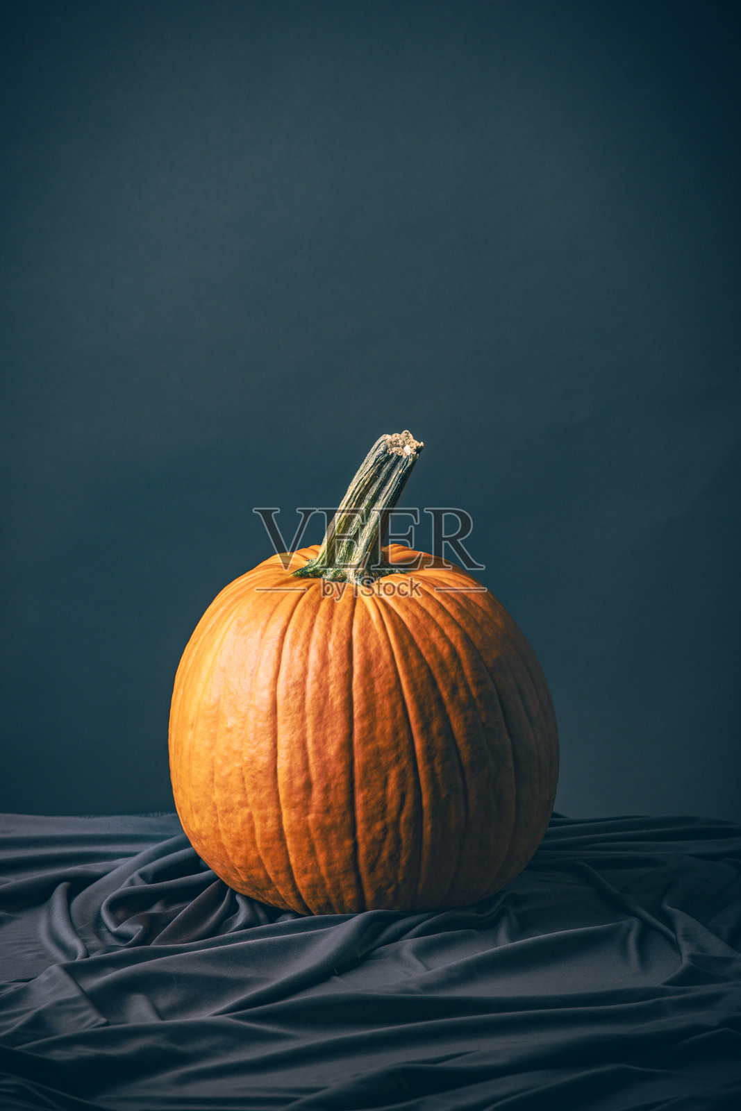 南瓜静物画照片摄影图片