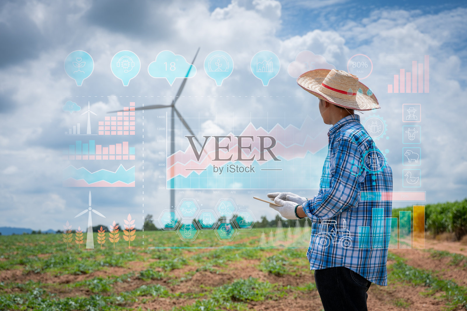 农民在农业田地中站立，手持平板电脑，虚拟图表和图标象征着智能农业技术管理，背后是风力涡轮机，代表可再生能源和可持续食品生产环境。照片摄影图片