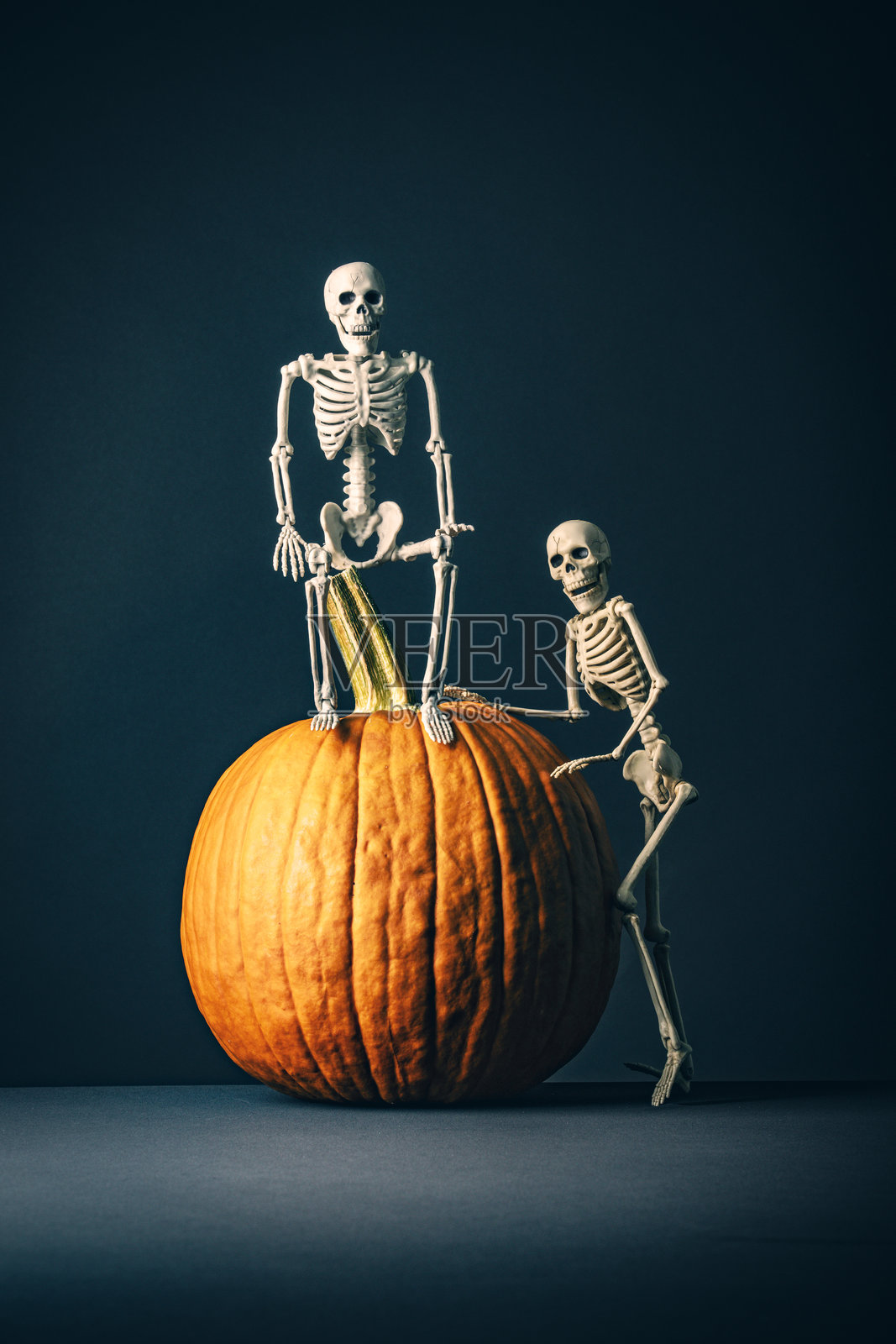 顽皮的万圣节骷髅坐在南瓜上照片摄影图片