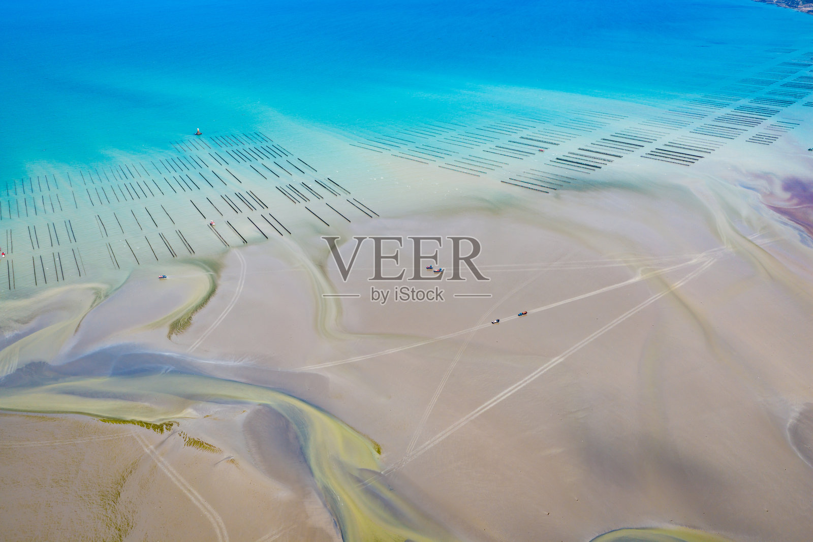 牡蛎和贻贝养殖照片摄影图片