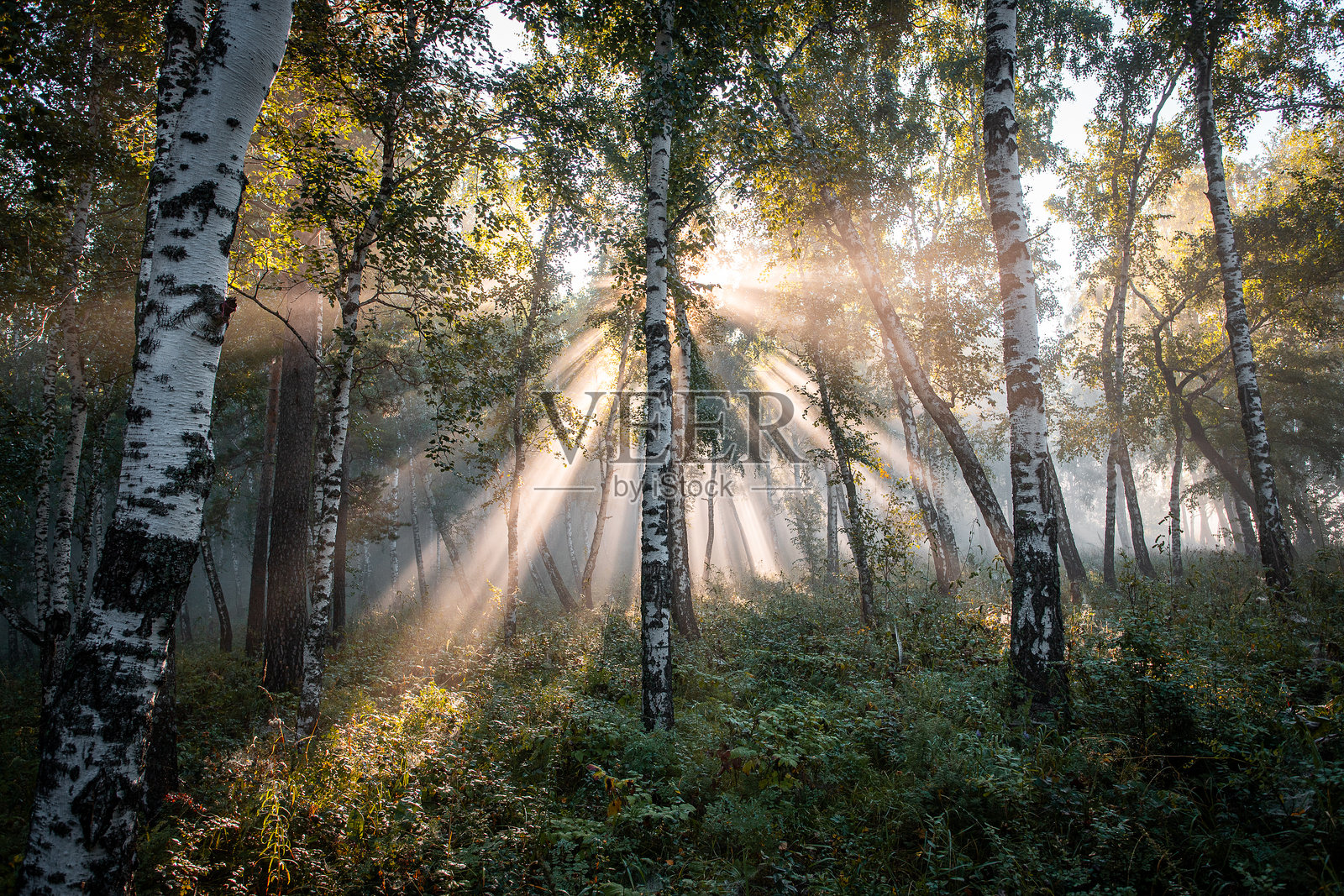 托尔加申斯基山脊照片摄影图片