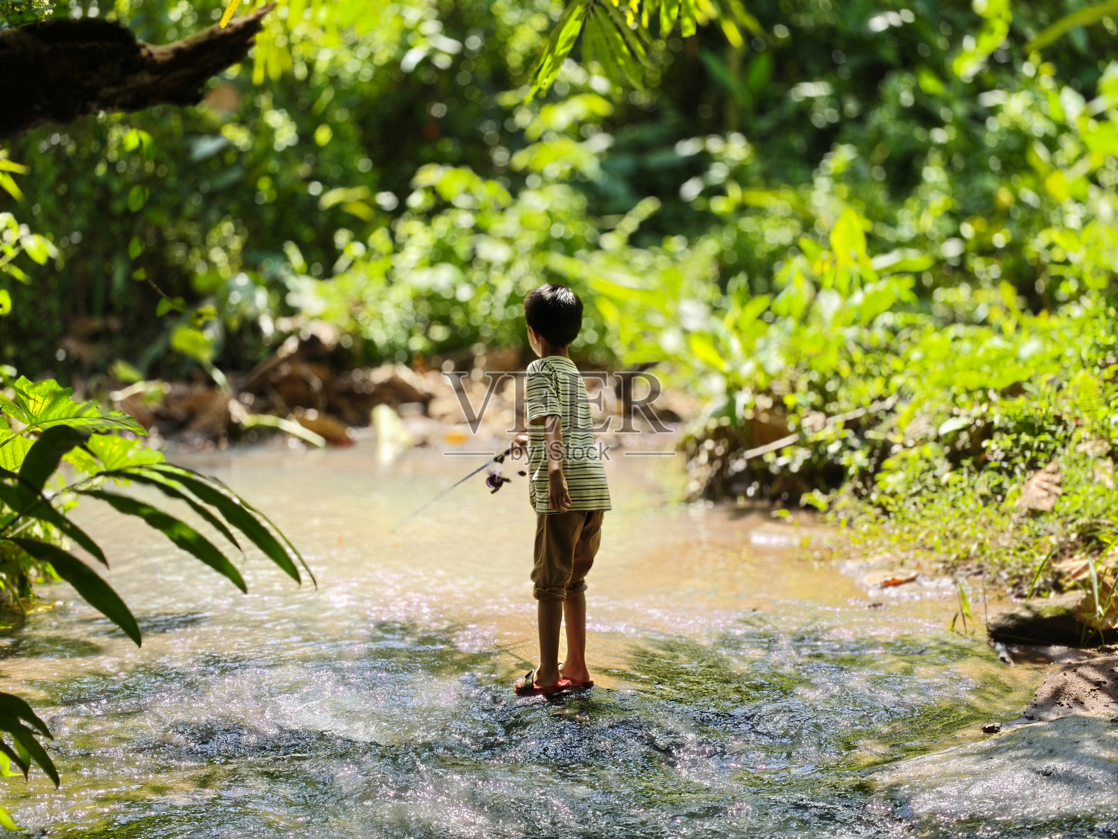 一个年轻男孩在浅溪中钓鱼照片摄影图片
