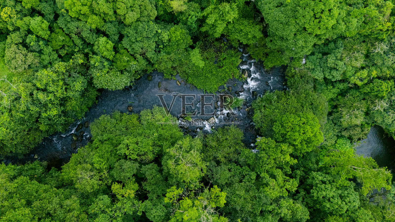 森林中郁郁葱葱的树木和自然溪流的鸟瞰图。环保理念，碳中和和净零排放。可持续的绿色环境。照片摄影图片