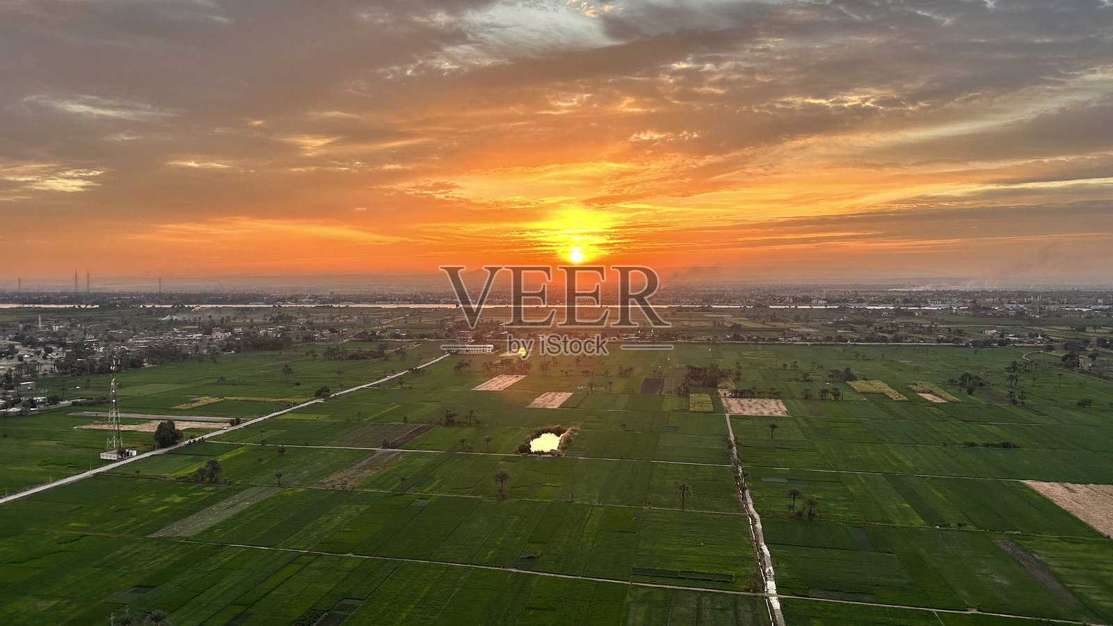 埃及卢克索尼罗河附近的绿色农田日出照片摄影图片